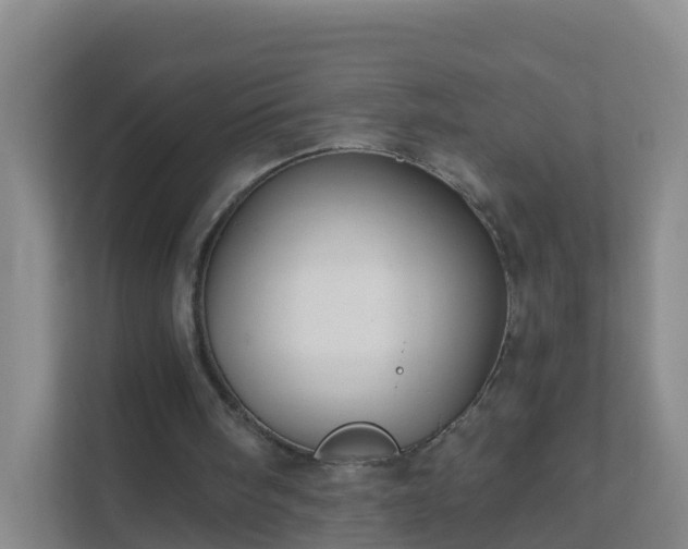 X0000111640098200907241119