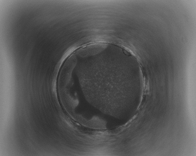 X0000111640099200907241119