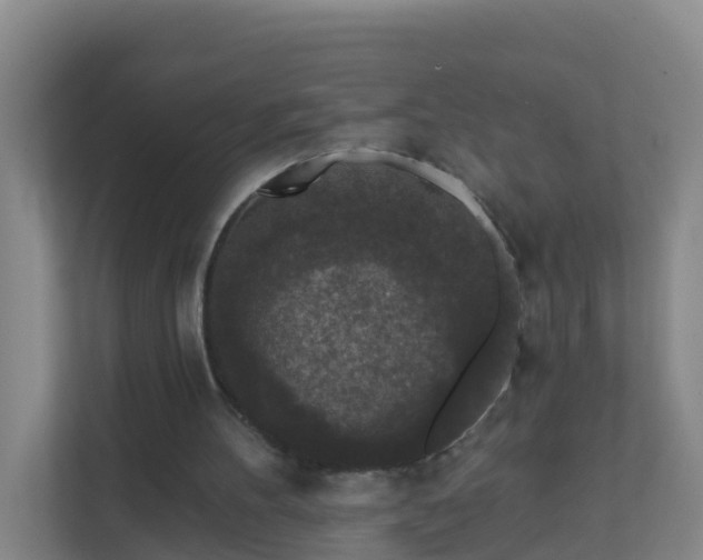 X0000111640100200907241119