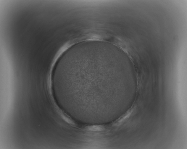 X0000111640102200907241119