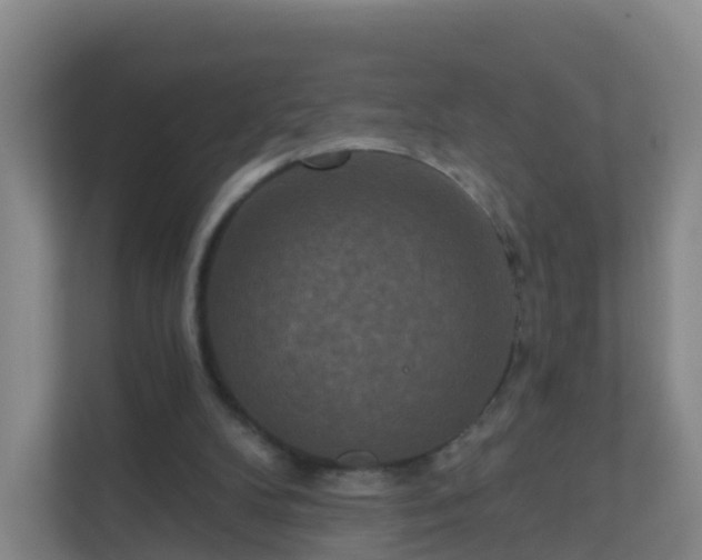 X0000111640104200907241119