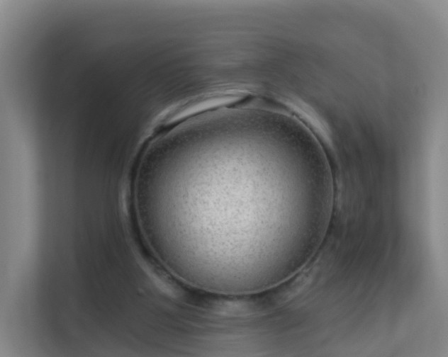 X0000111640107200907241119