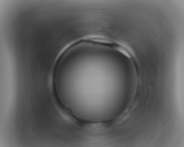 X0000111640108200907241119