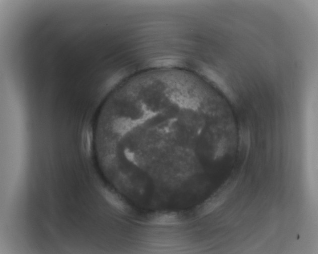 X0000111640110200907241119