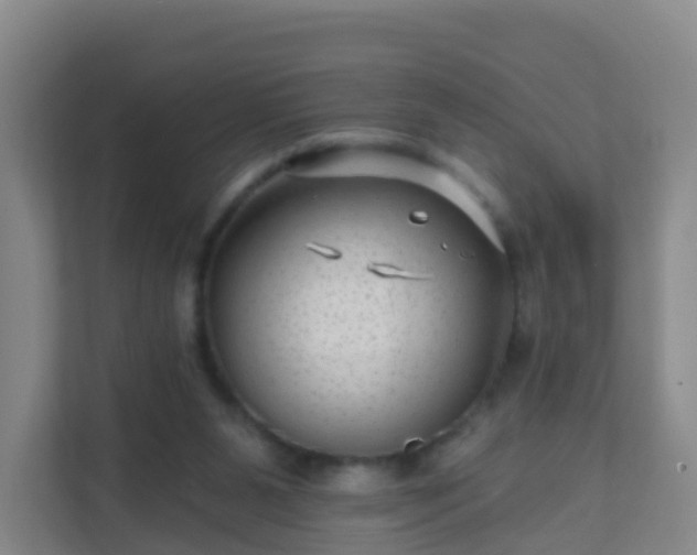 X0000111640111200907241119