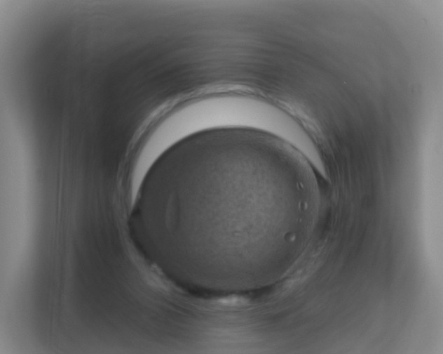 X0000111640112200907241119