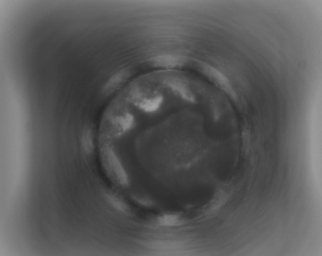 X0000111640114200907241119