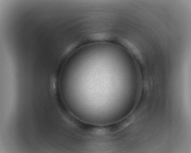 X0000111640115200907241119