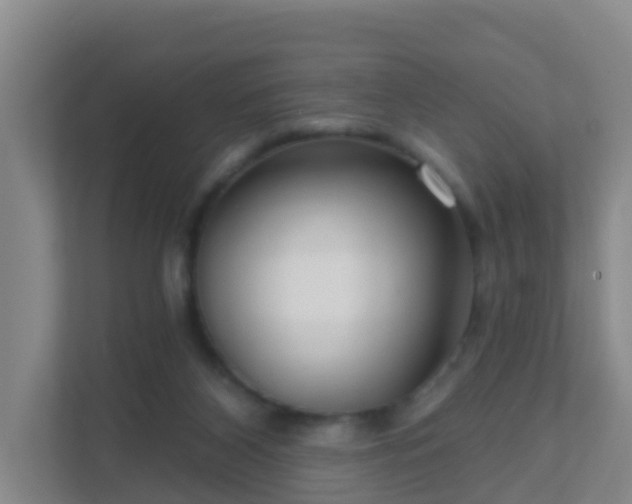 X0000111640116200907241119