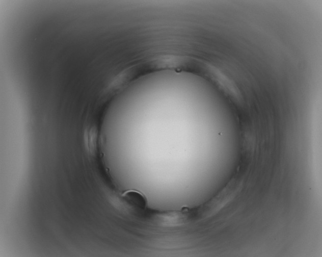 X0000111640118200907241119