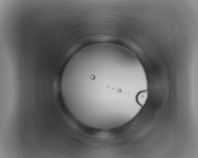 X0000111640119200907241119