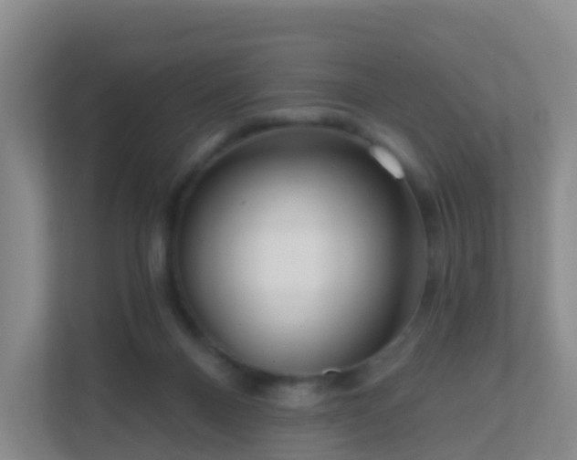 X0000111640120200907241119