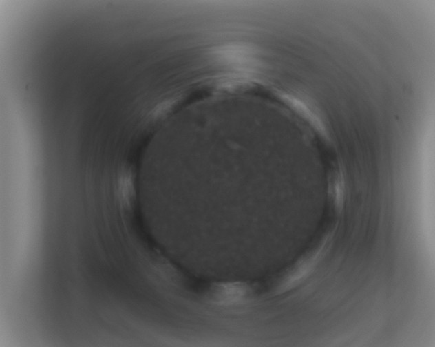 X0000111640127200907241119