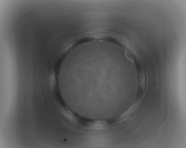 X0000111640128200907241119