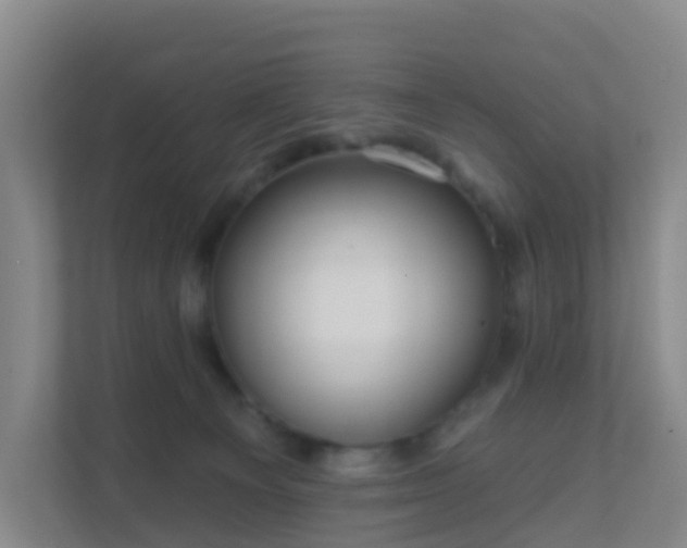 X0000111640129200907241119