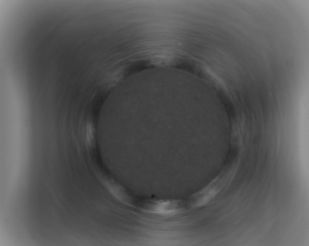 X0000111640130200907241119