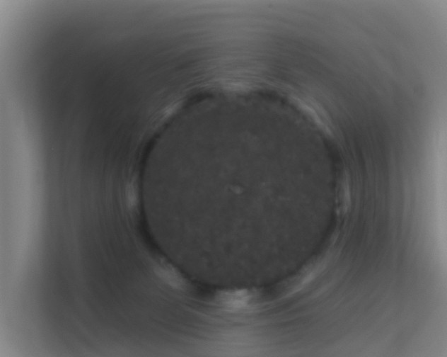 X0000111640131200907241119