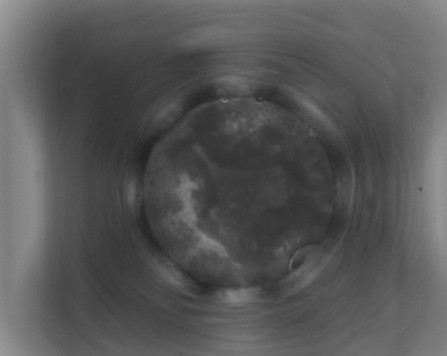 X0000111640134200907241119