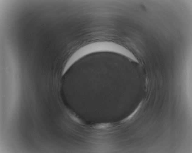 X0000111640136200907241118