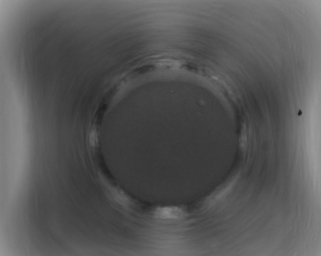 X0000111640137200907241118