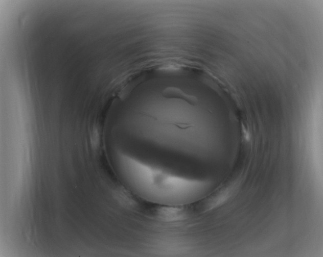 X0000111640139200907241118