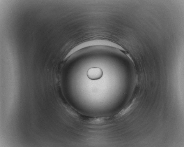 X0000111640140200907241118