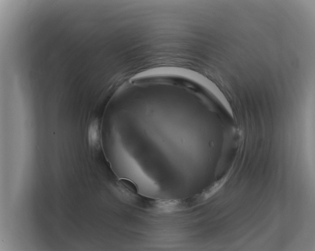 X0000111640143200907241118