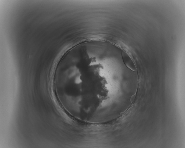 X0000111640145200907241118