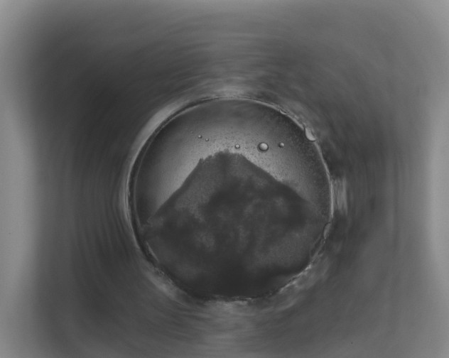 X0000111640147200907241118