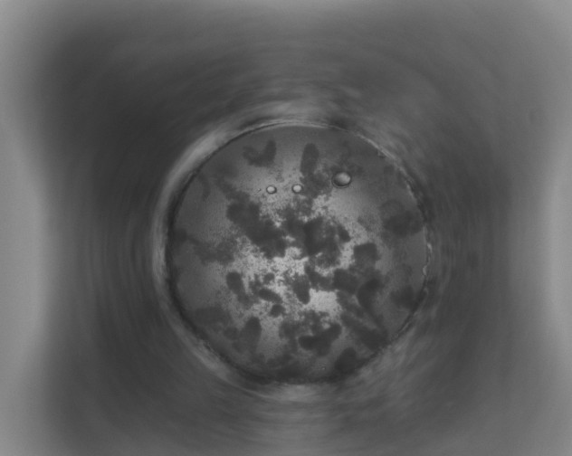 X0000111640149200907241118