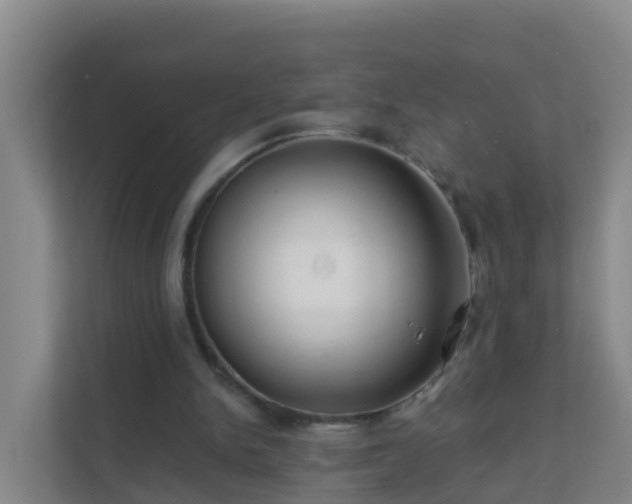 X0000111640150200907241118