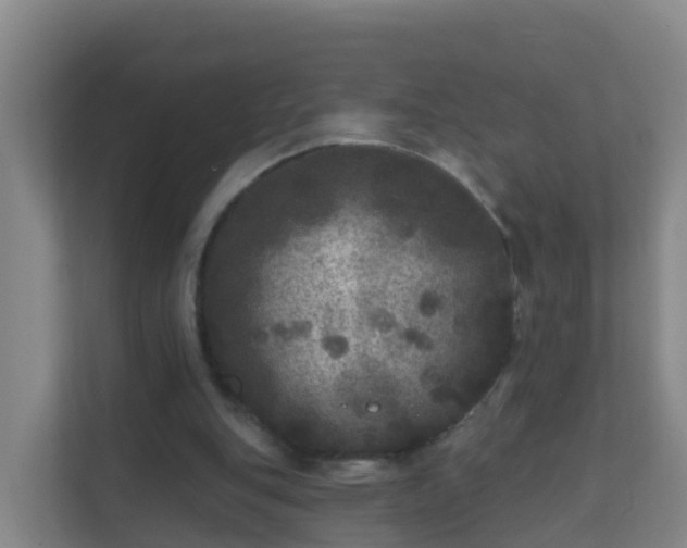 X0000111640151200907241118