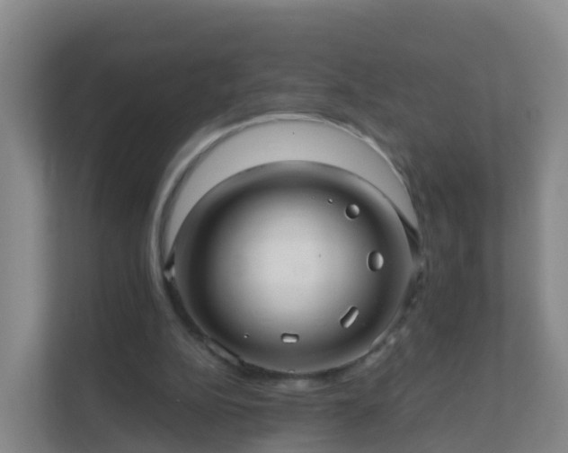 X0000111640152200907241118