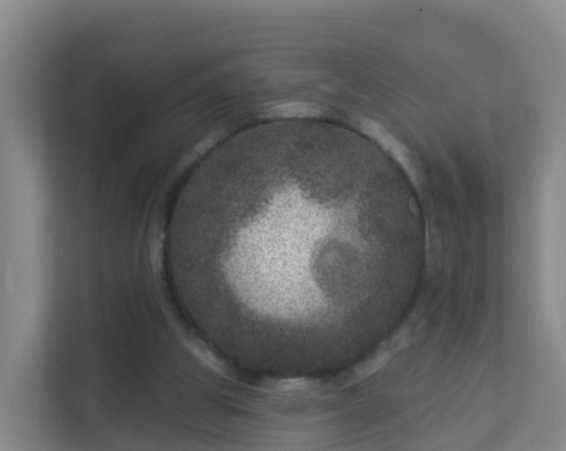 X0000111640153200907241118