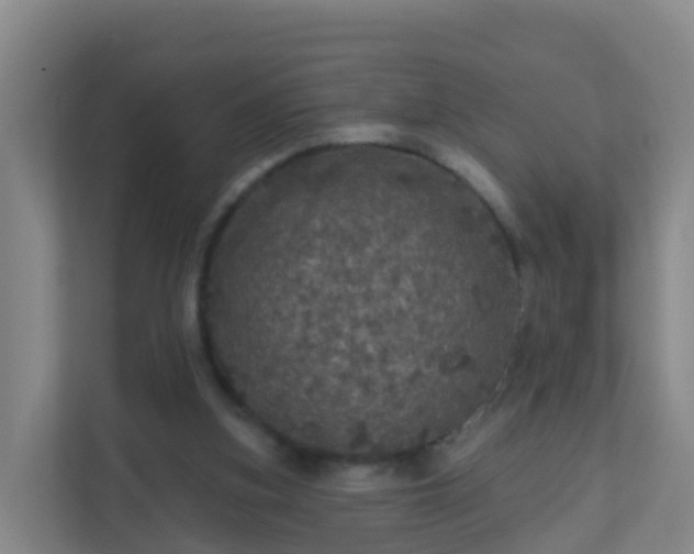 X0000111640155200907241118