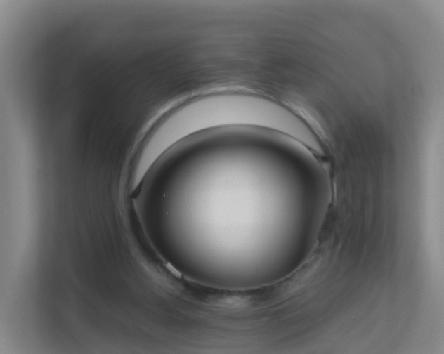 X0000111640156200907241118