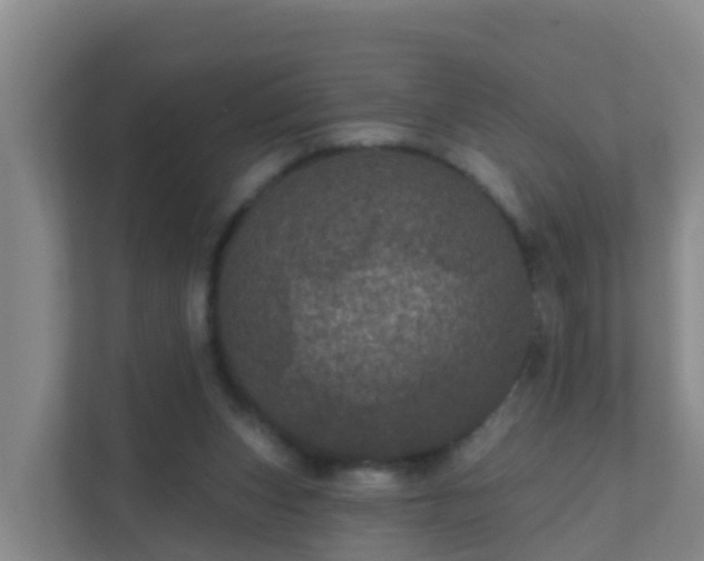 X0000111640159200907241118