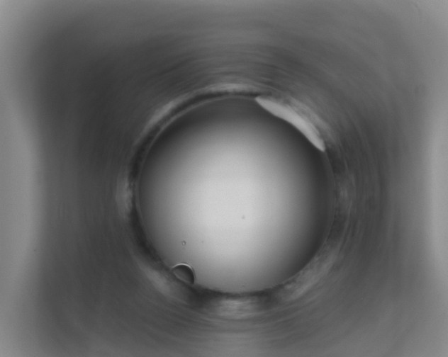 X0000111640160200907241118