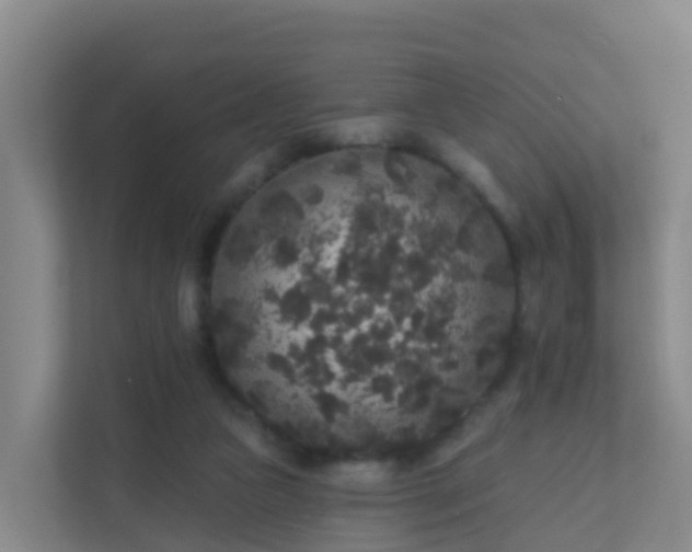 X0000111640161200907241118