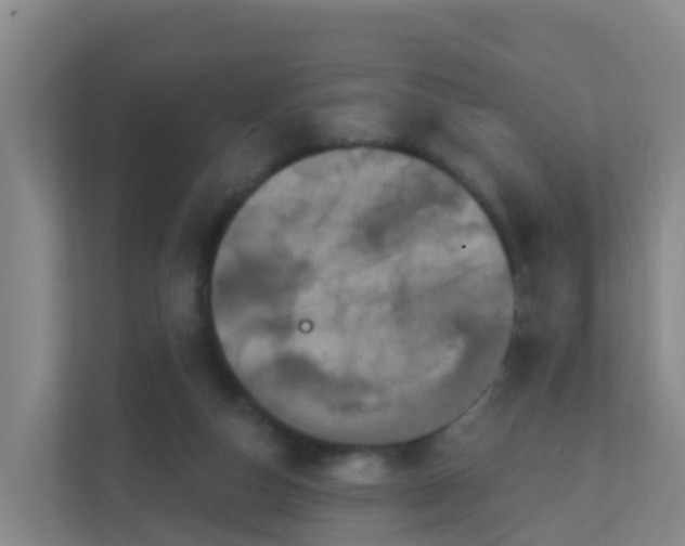 X0000111640162200907241118