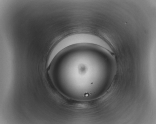 X0000111640164200907241118