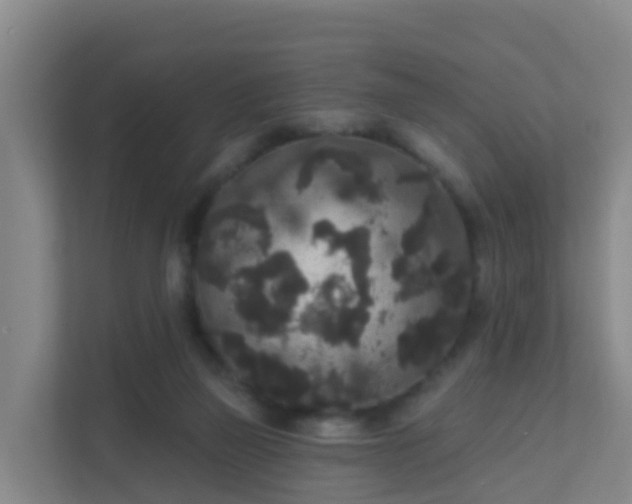 X0000111640165200907241118