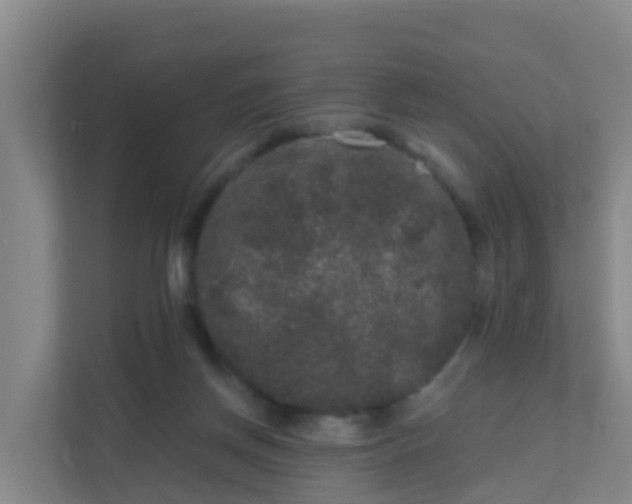 X0000111640166200907241118