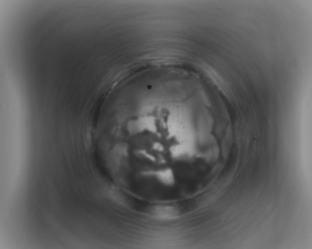 X0000111640169200907241118