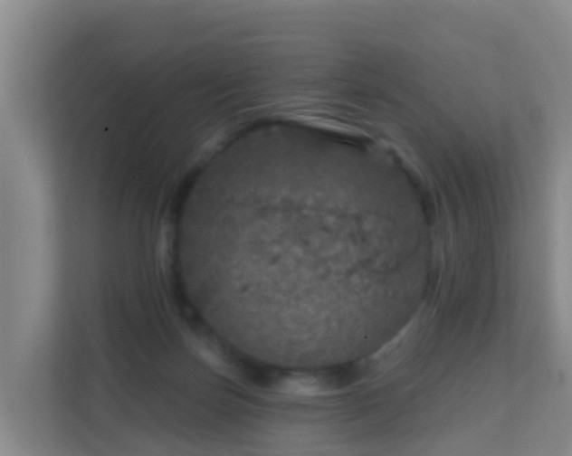 X0000111640171200907241118