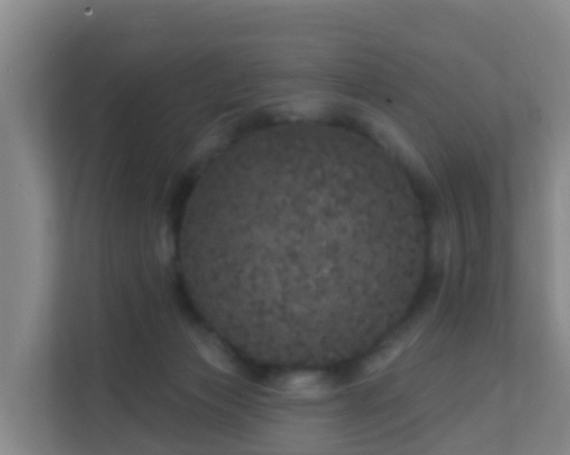 X0000111640173200907241118