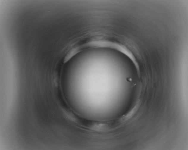 X0000111640174200907241118