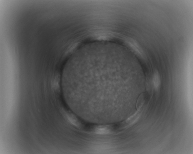 X0000111640175200907241118