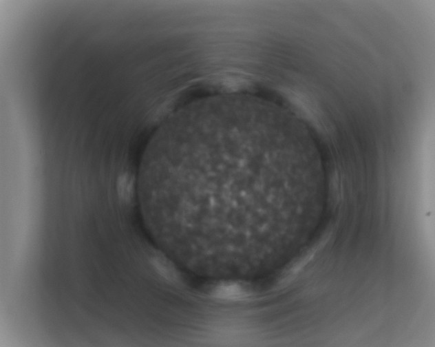 X0000111640177200907241118