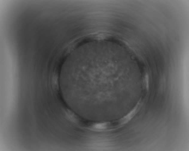 X0000111640178200907241118